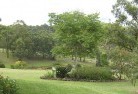 Toms Creekresidential-landscaping-40.jpg; ?>